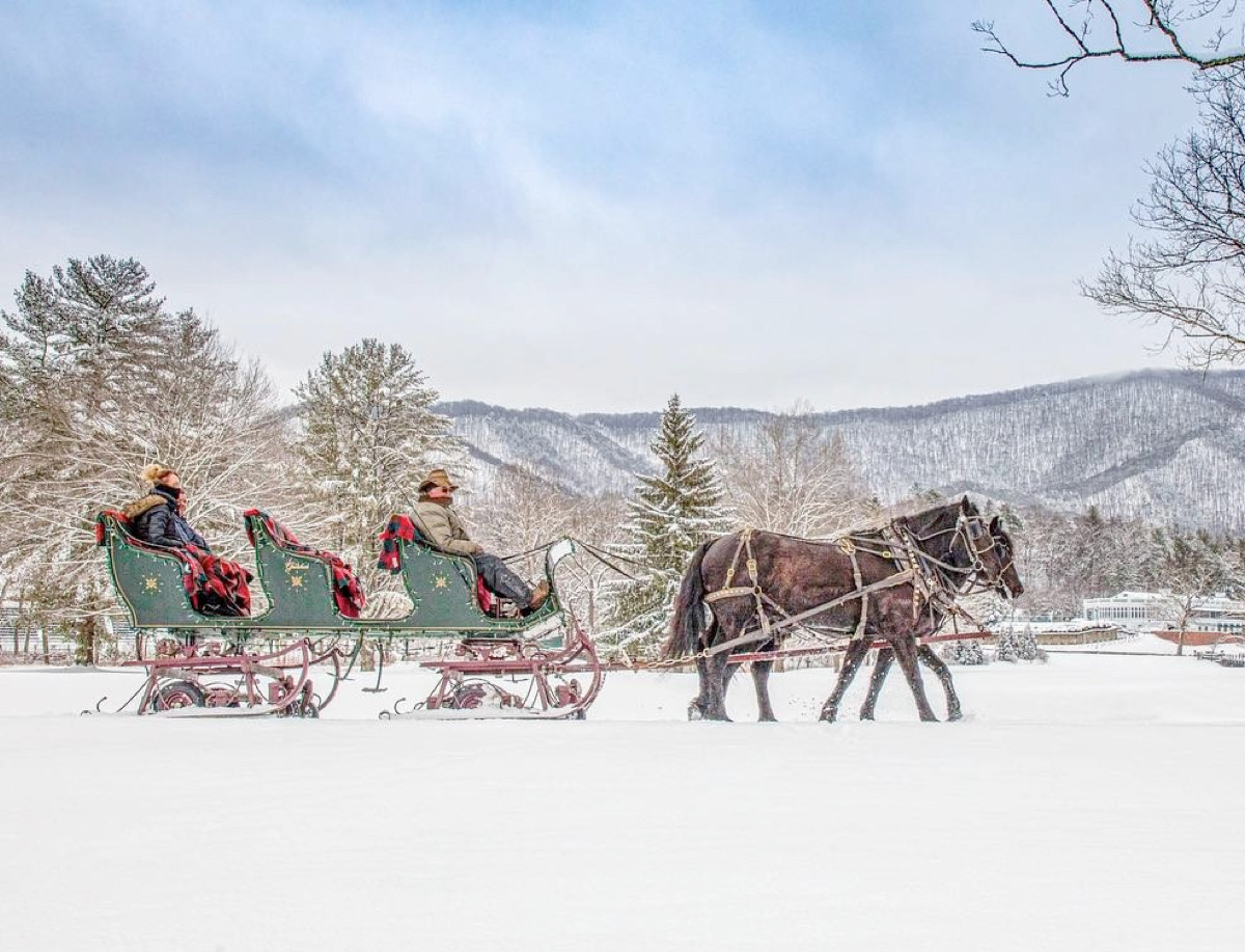 horse drawn carriage in the snow