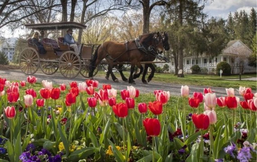 Greenbrier carriage ride.