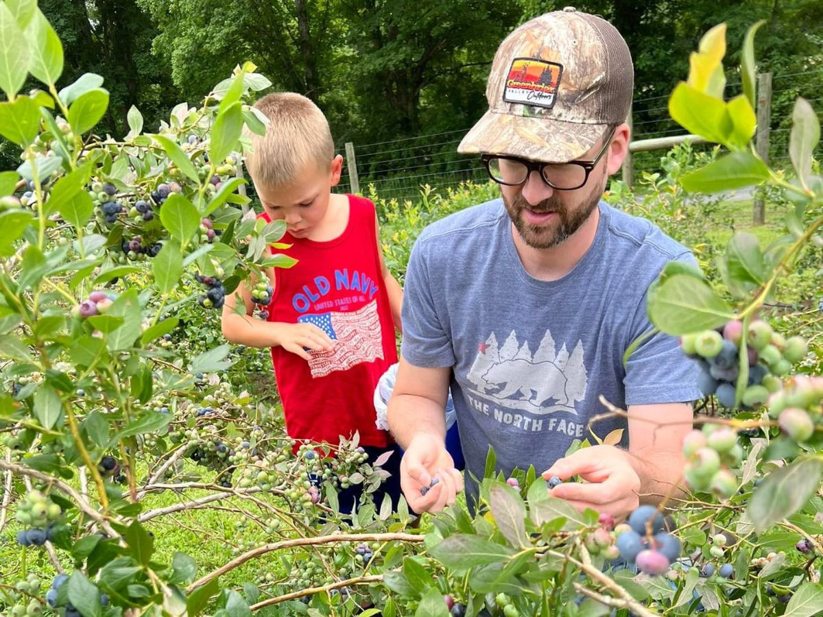 blueberry picking at friendly goat fruit farm 1200x900