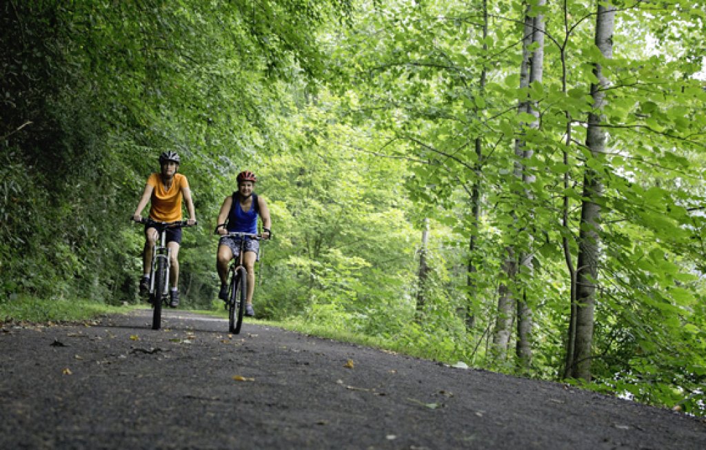 Greenbrier River Trail bikers.