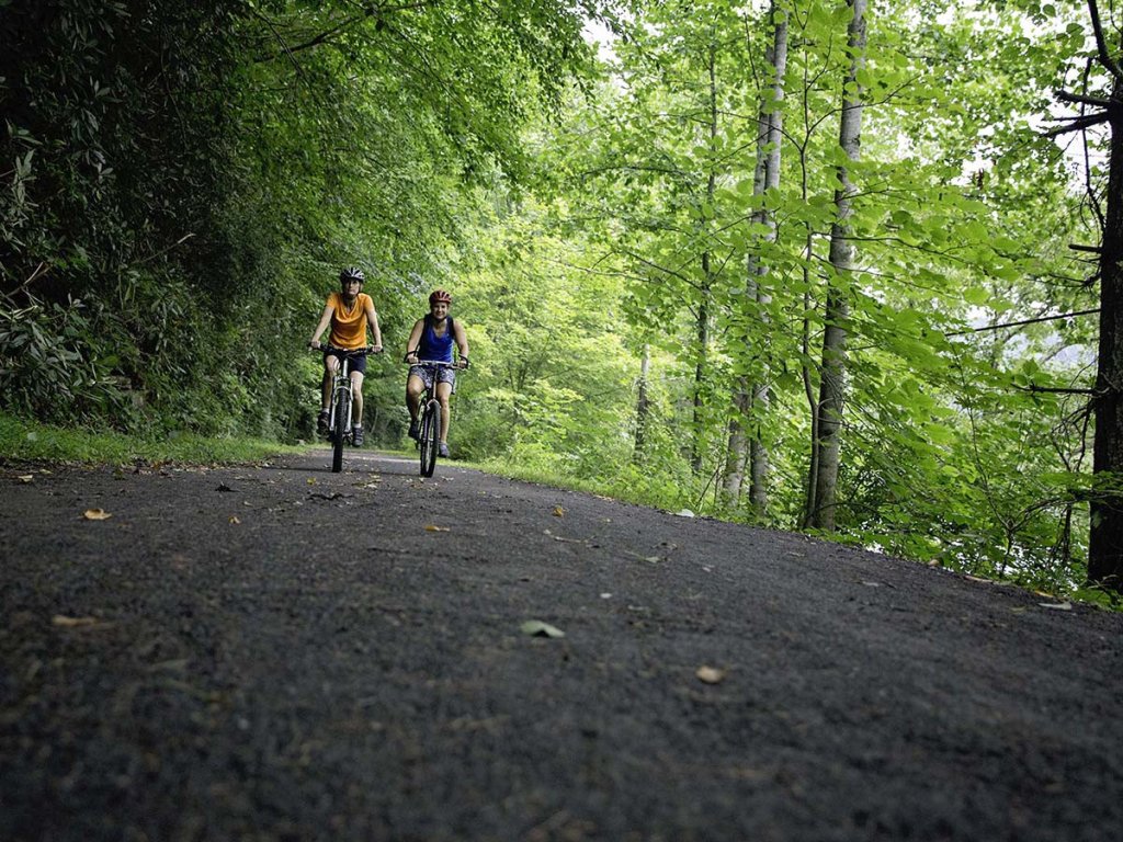biking on the greenbrier river trail in the greenbrier valley.