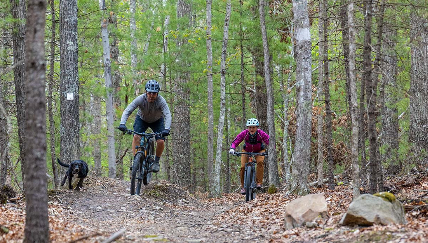 mountain biking in greenbrier state forest