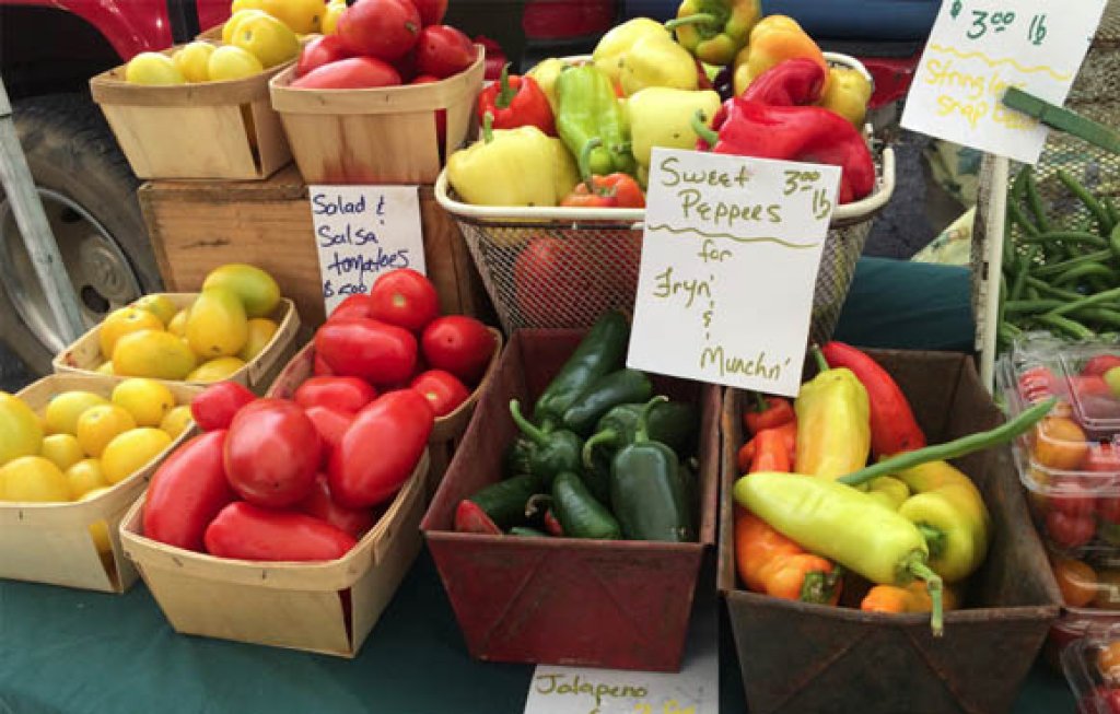Farm to Table Vegetables.