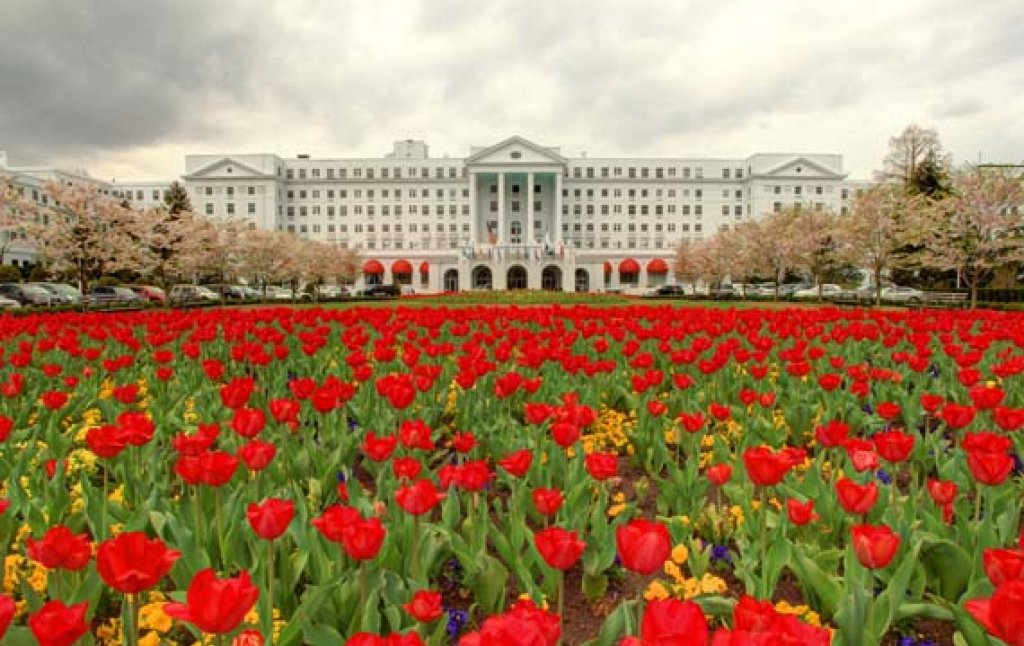 The Greenbrier spring tulips.