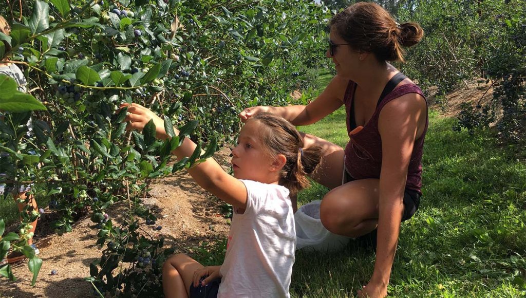 blueberry picking at white oak blueberry farm 1200x680.