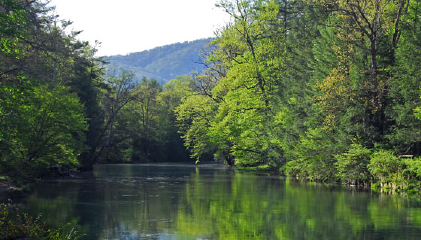 Creek in the Blue Bend