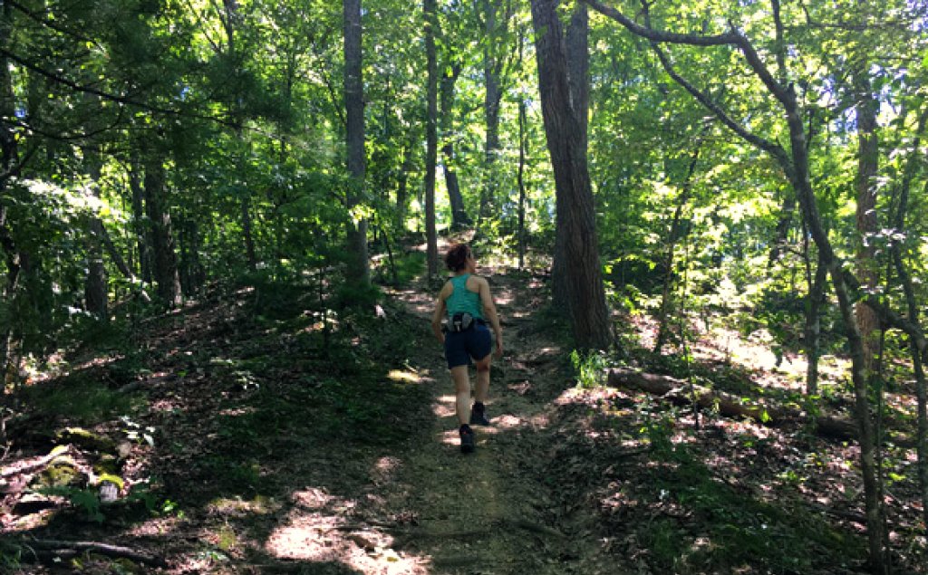 Person hiking through woods.