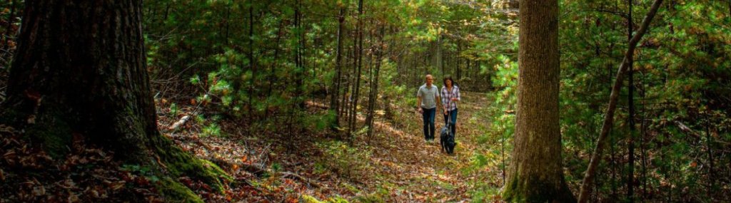 Couple hiking with dog.