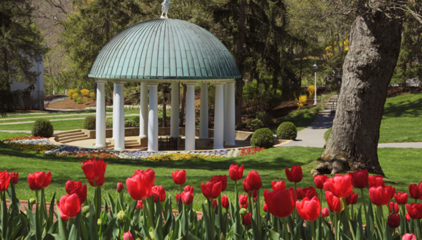 Garden's gazebo