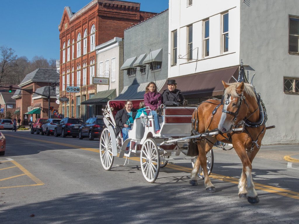 horsedrawn carriage ride in downtown lewisburg.