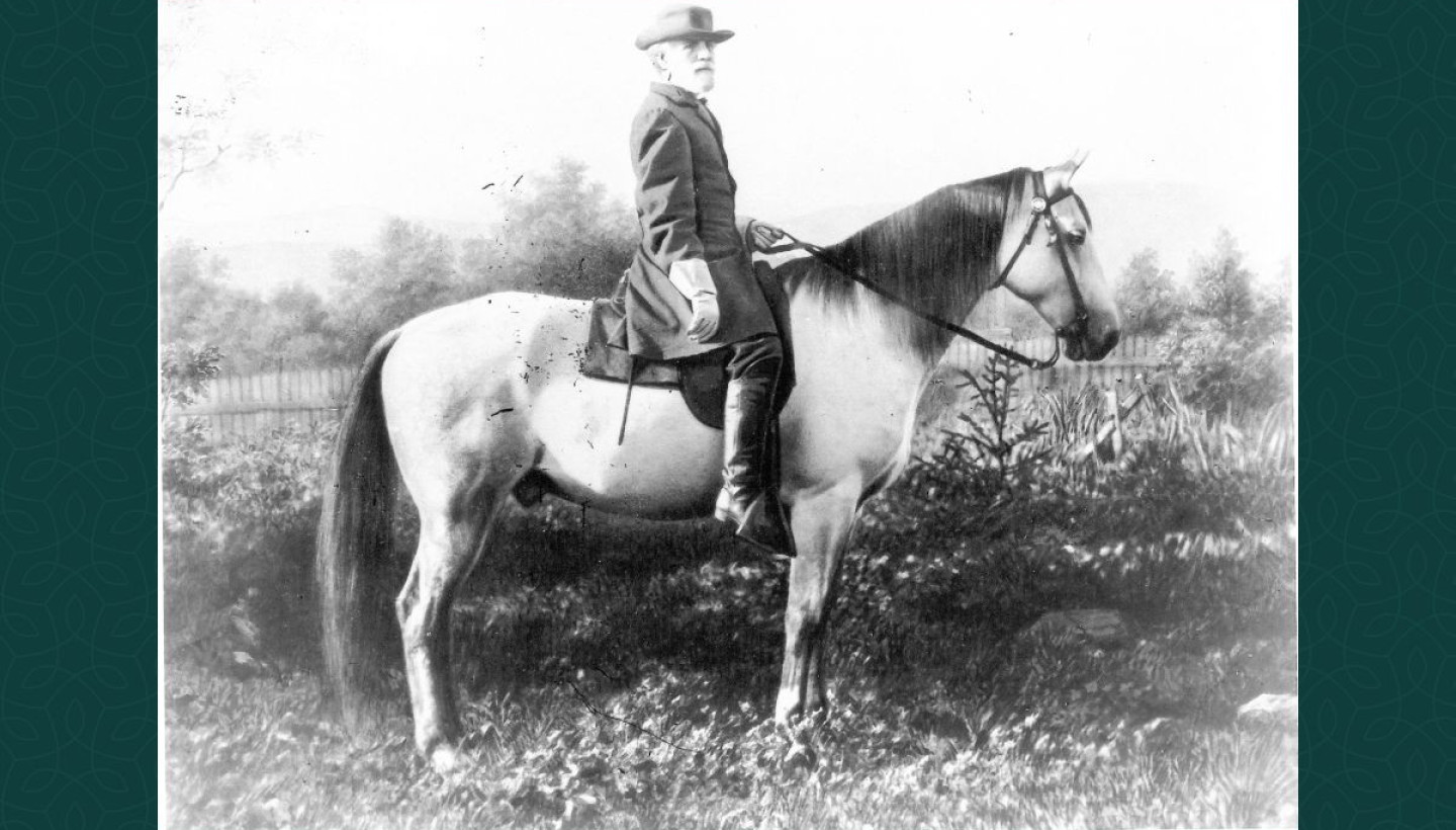 robert e lee and horse traveller 1200x800