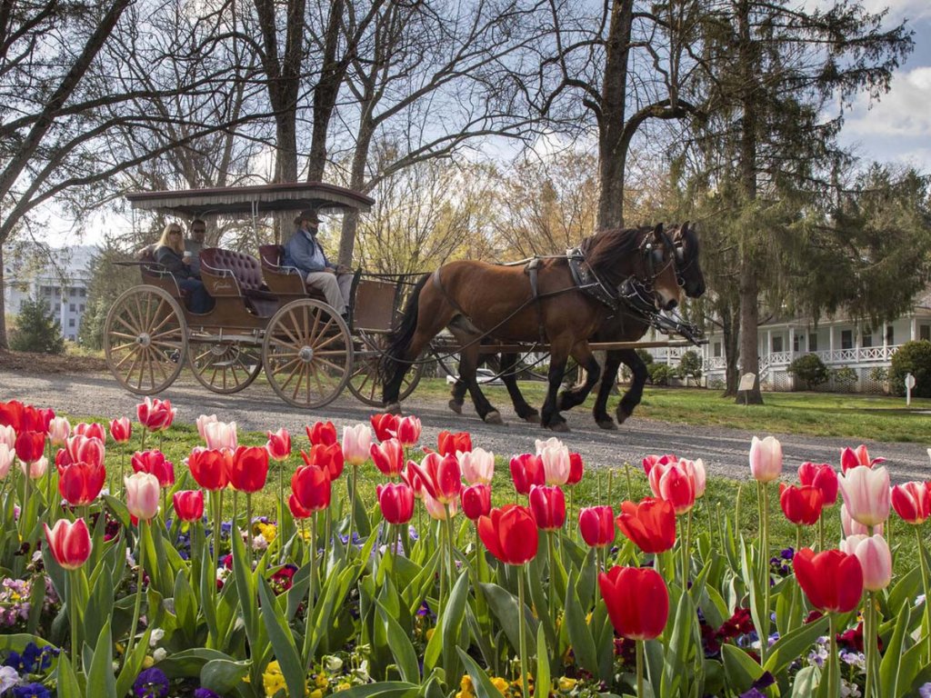 carriage ride on the greenbrier resort grounds 1200x900.