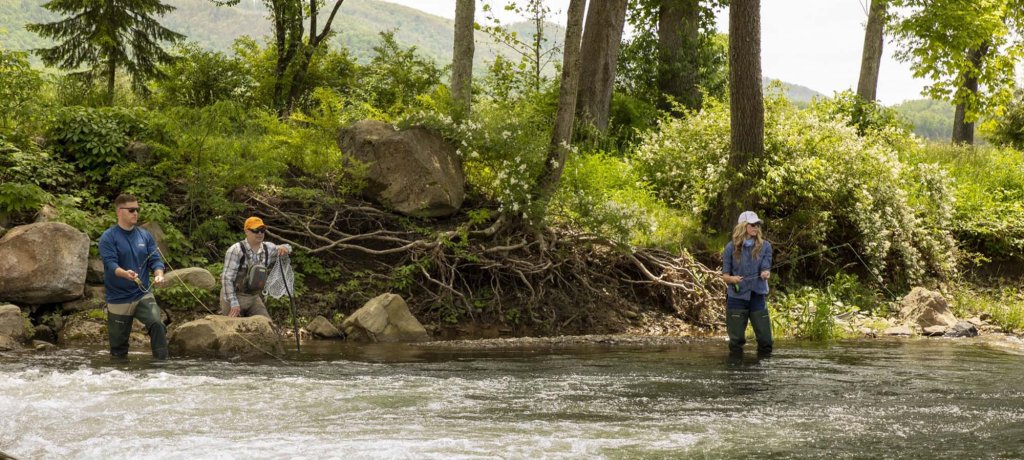 flyfishing on Howard' Creek at the greenbrier 2000x900.