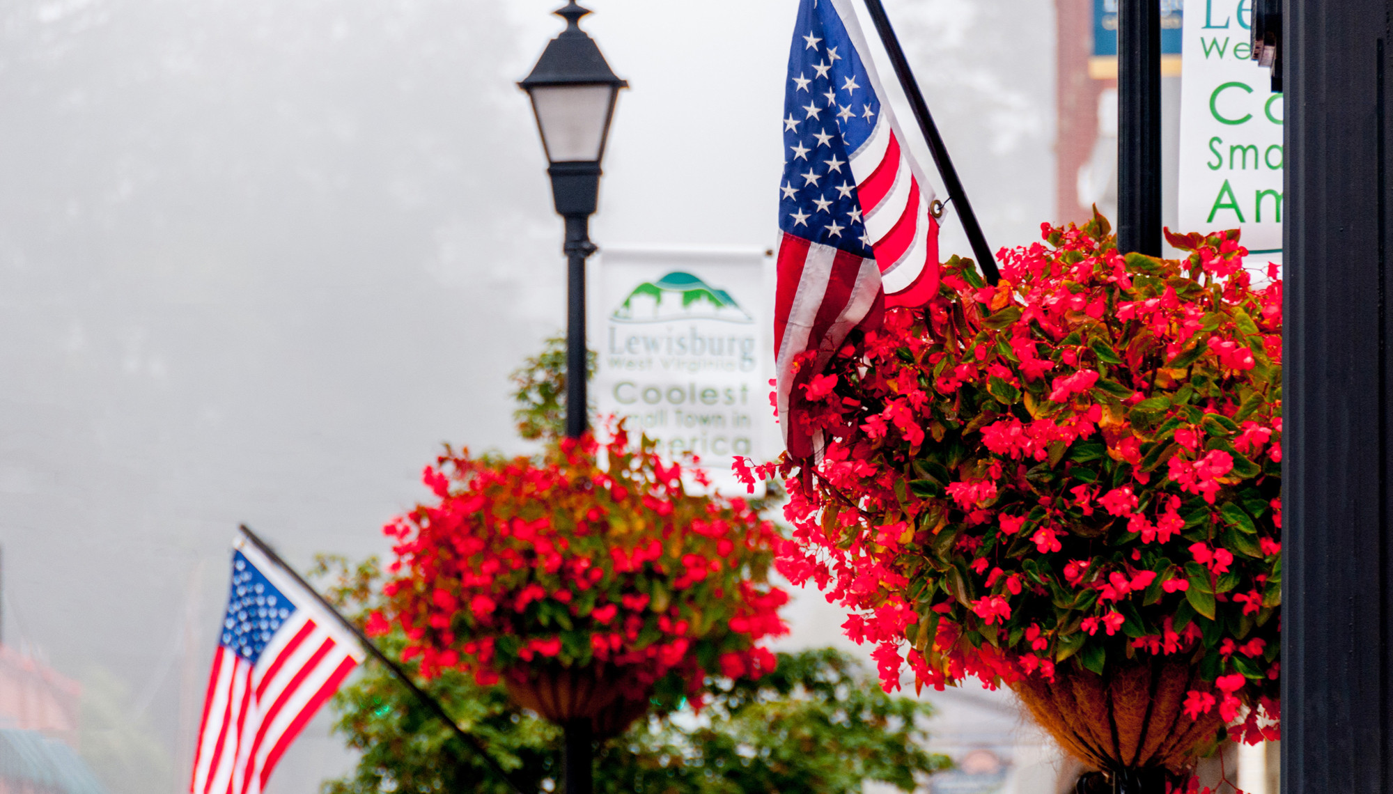 Downtown lewisburg flowers