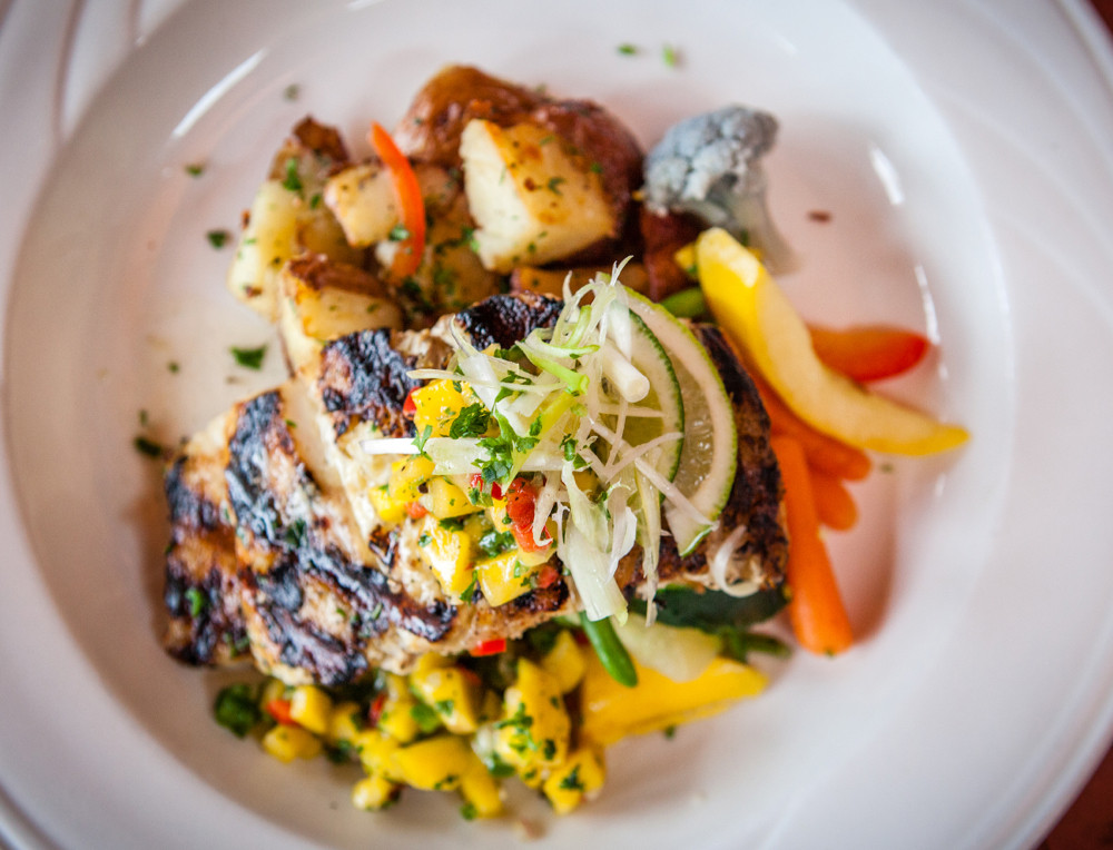 carribean grouper