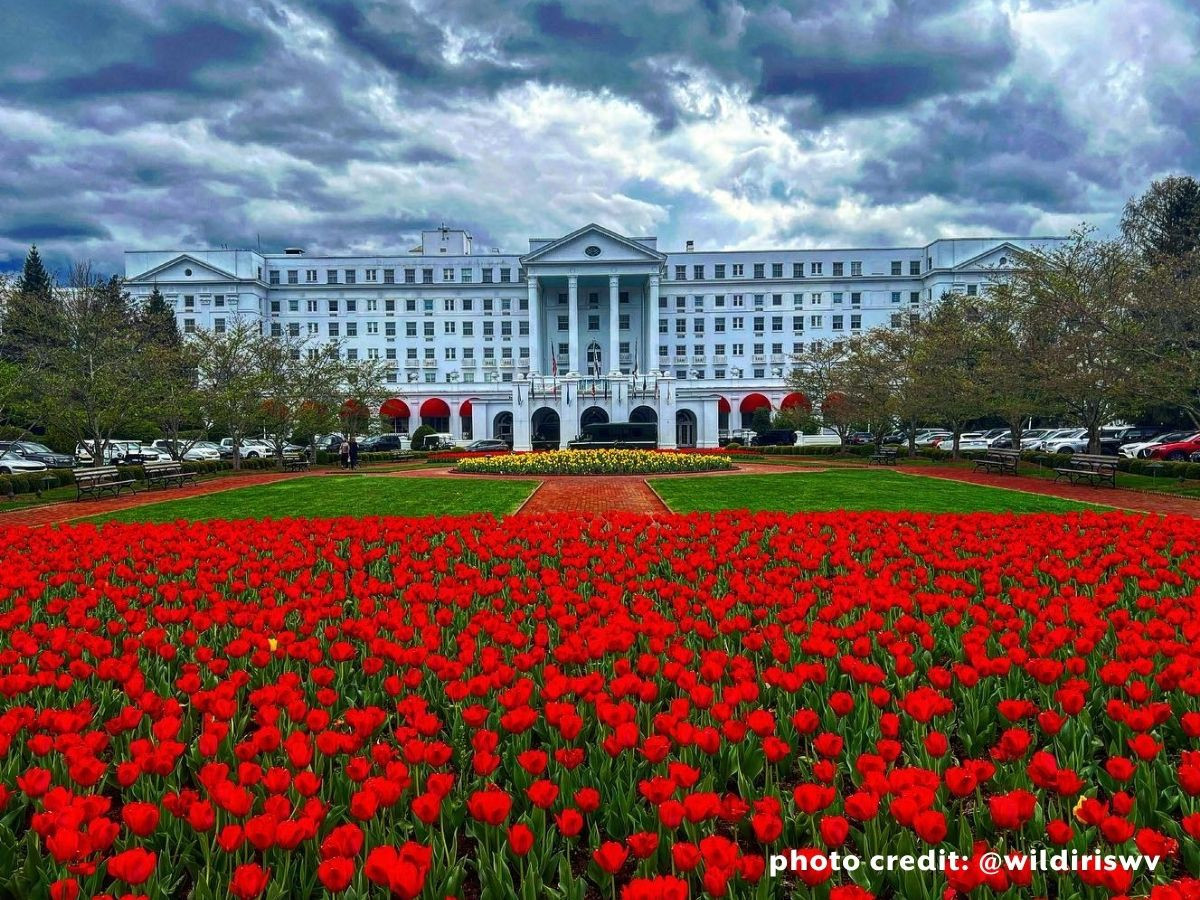 the greenbrier front entrance 1200x900 @wildiriswv