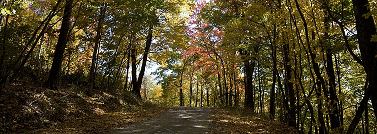 Fall driving in Greenbrier valley