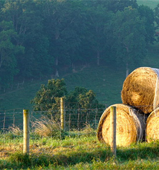 greenbrier valley scenic view